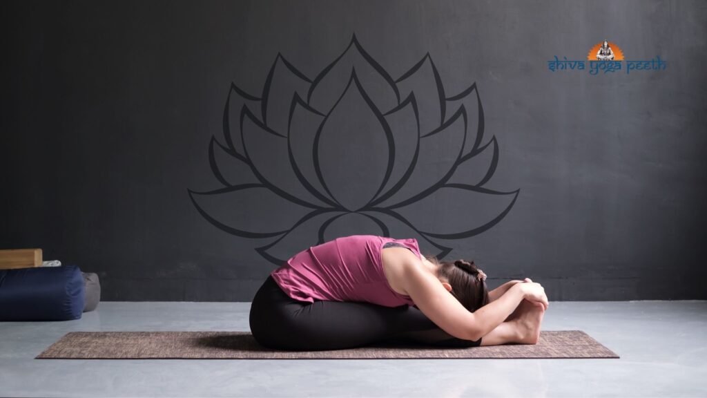 Seated Forward Bend