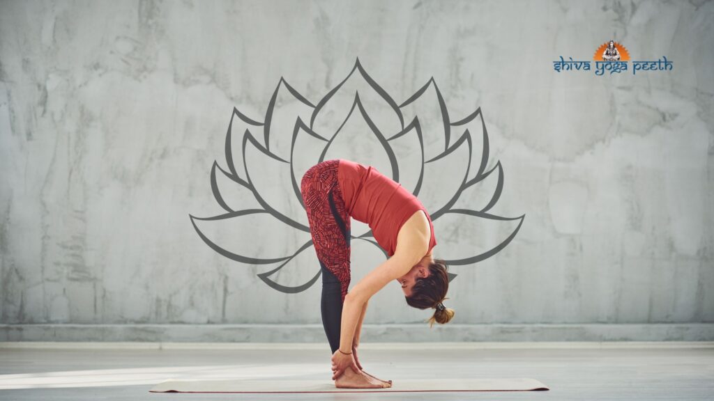 Standing Forward Bend