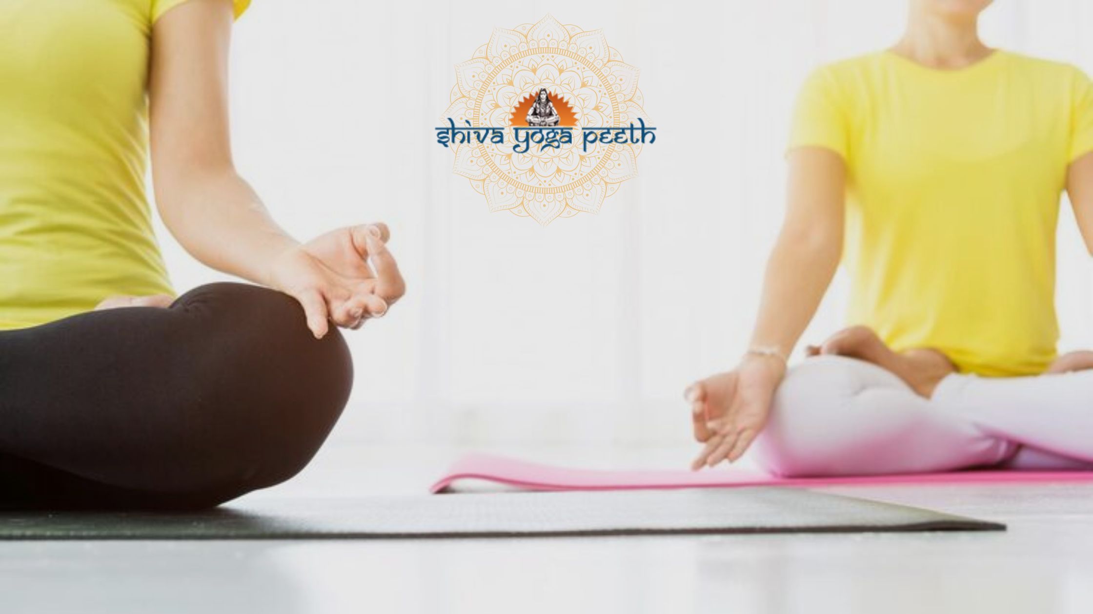 yoga-teacher-training-india-international-certification