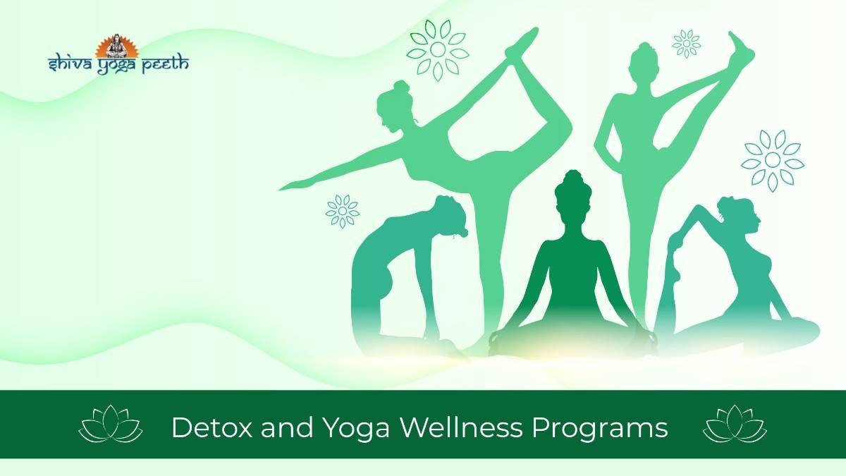Detox-and-Yoga-Wellness-Programs